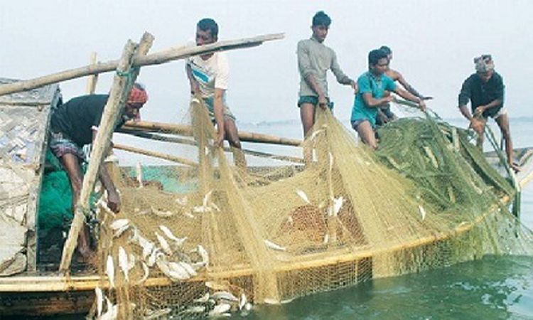 জাটকা সংরক্ষণ সপ্তাহ