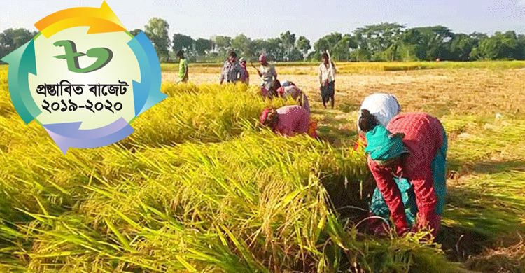 বাজেটে কৃষি খাতে এবার ১ হাজার ২৬১ কোটি টাকা বেশি বরাদ্দ