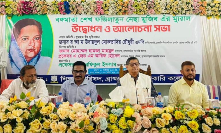 আওয়ামী লীগ উন্নয়নের কাজ করে, গল্প করে না : মোকতাদির চৌধুরী