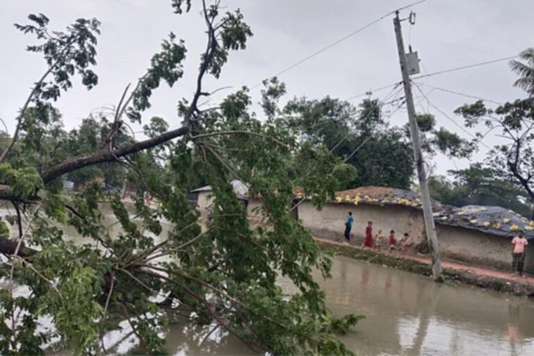 ঘূর্ণিঝড় রেমালের প্রভাবে পৌনে ৩ কোটি গ্রাহক বিদ্যুৎ–বিচ্ছিন্ন