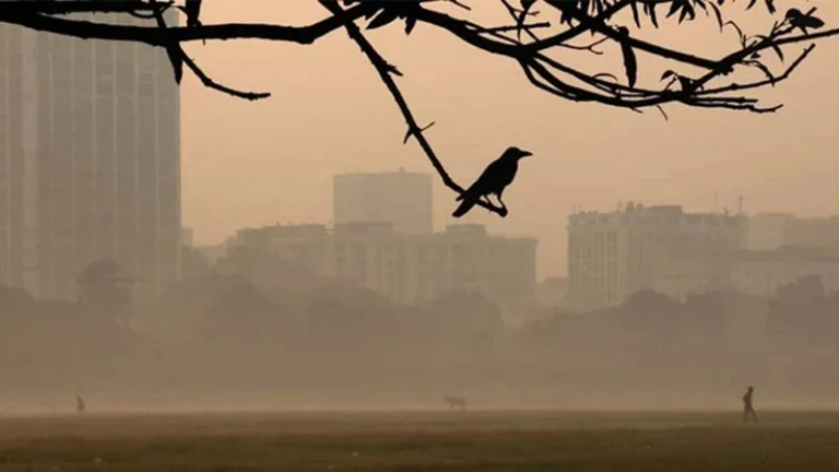 কুয়াশার চাদরে ঢাকা রাজধানী, বেড়েছে শীতের তীব্রতা