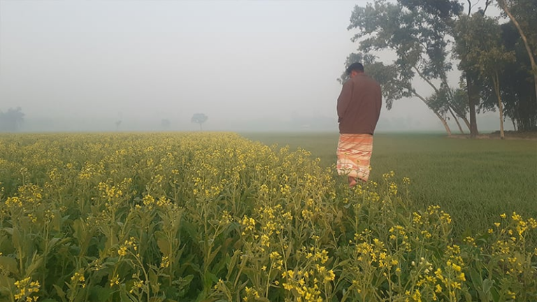 শীতের ভোরে কুয়াশা